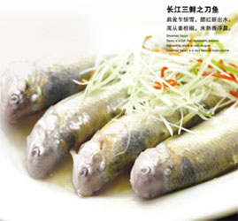 刀鱼